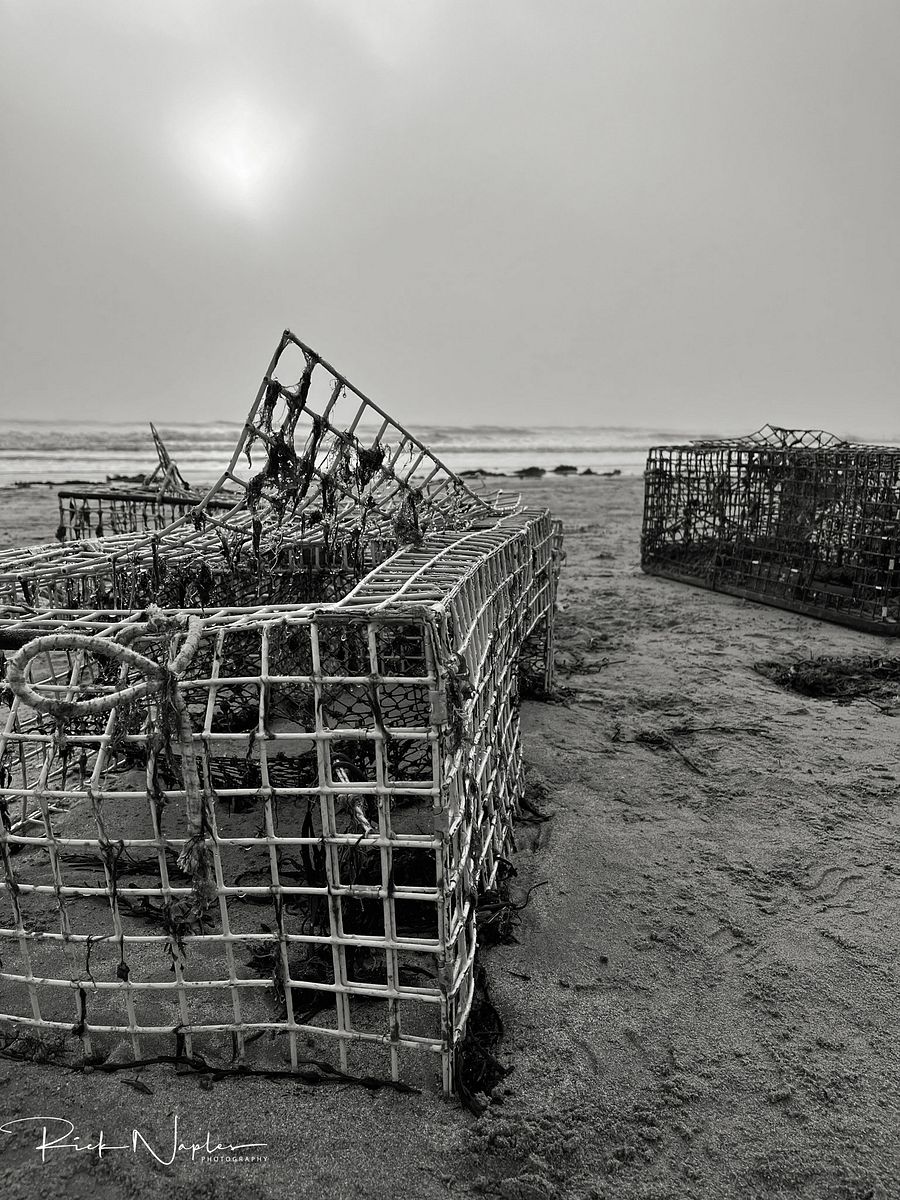 BLACK AND WHITE PHOTOGRAPHY product image (2)