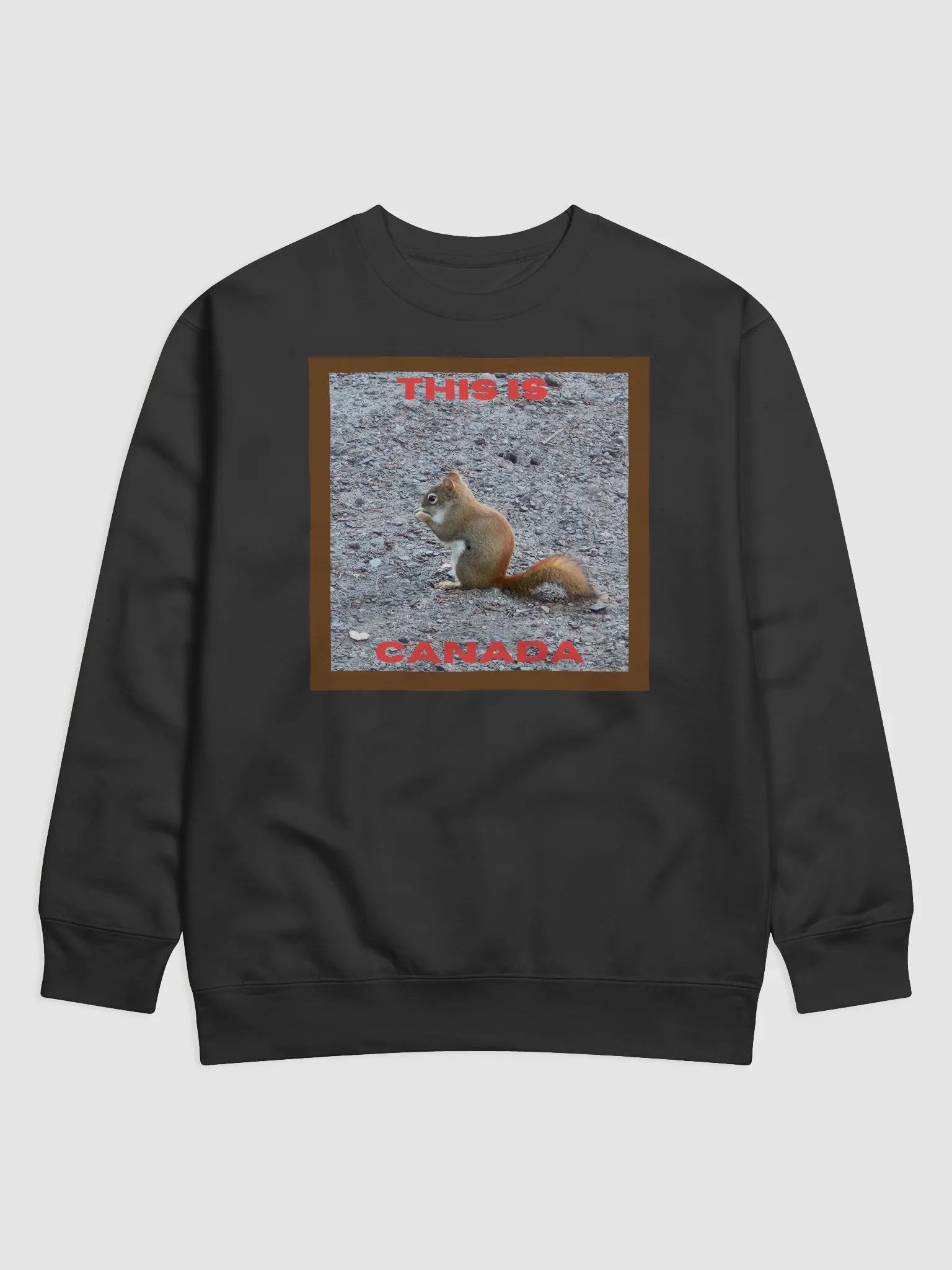 Adorable Red Squirrel Premium Sweat Shirt product image (1)