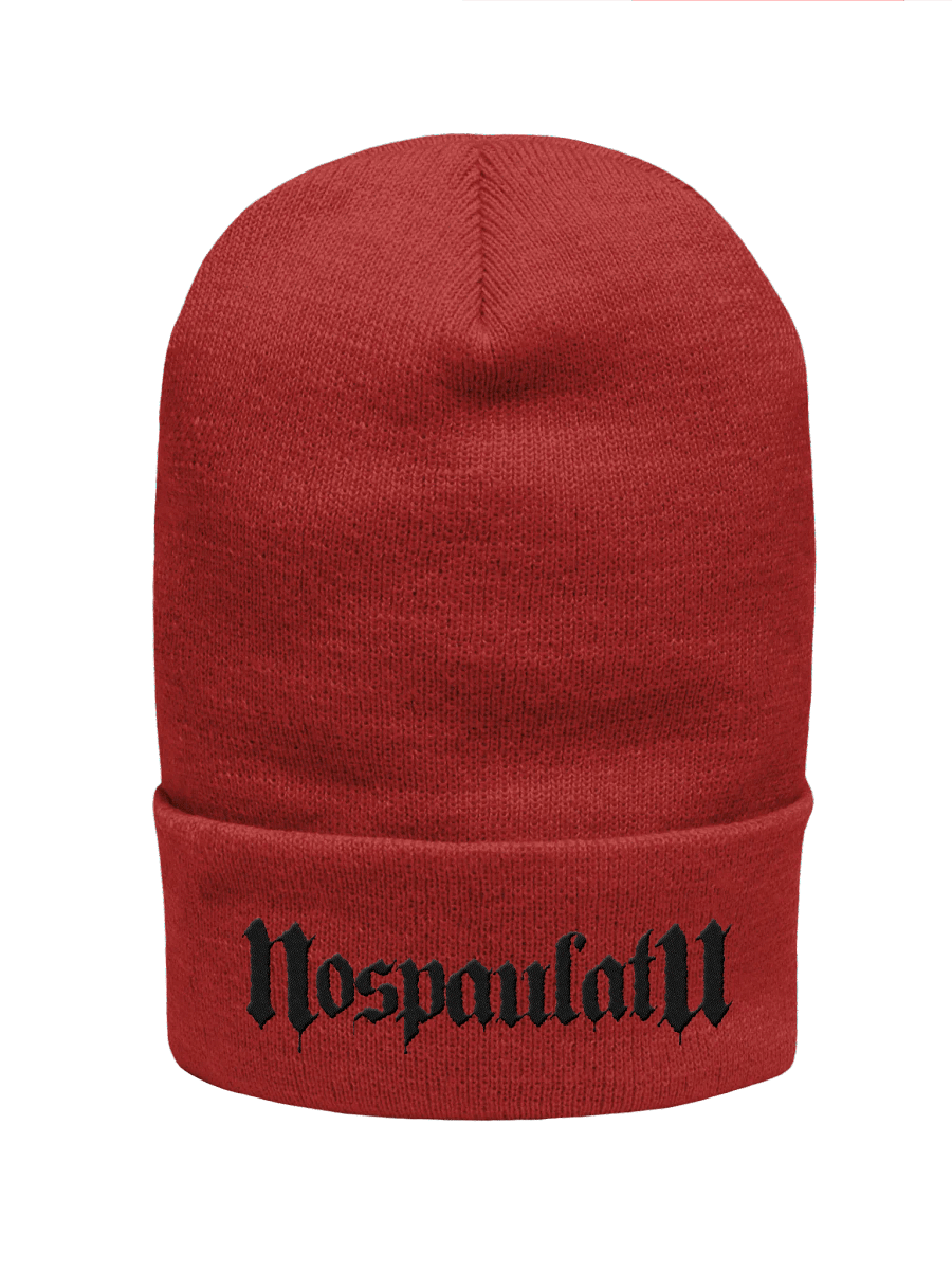 Embroidered Blackout Logo Winter Hat product image (8)