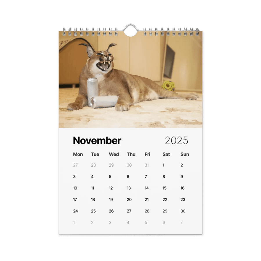 FLOPPA CALENDAR FOR 2025 product image (11)