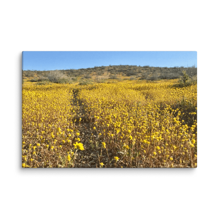 Canvas Print - Trail thru the Wildflowers product image (1)