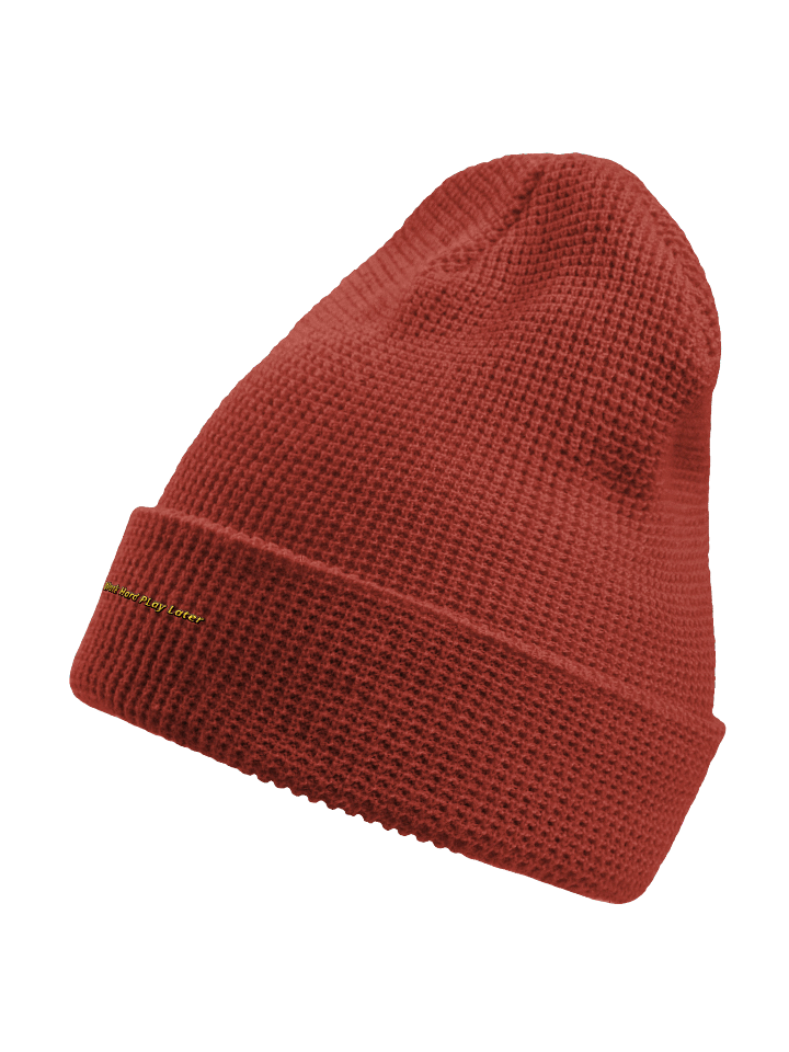 Work Hard Play Later. Waffle Beanie product image (18)