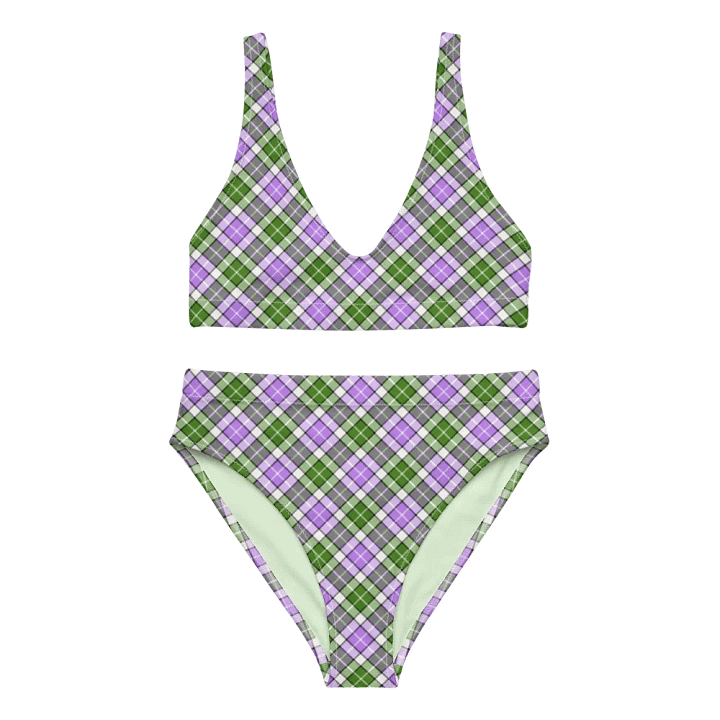 Lavender and Green Plaid Bikini product image (2)