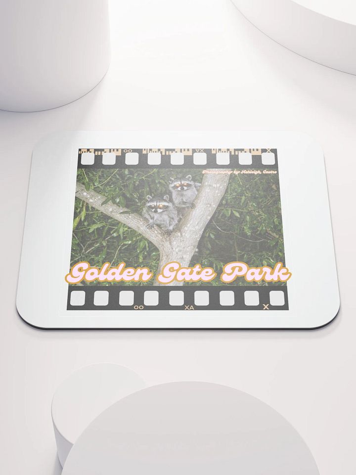Golden Gate Park Raccoons Mouse Pad product image (1)