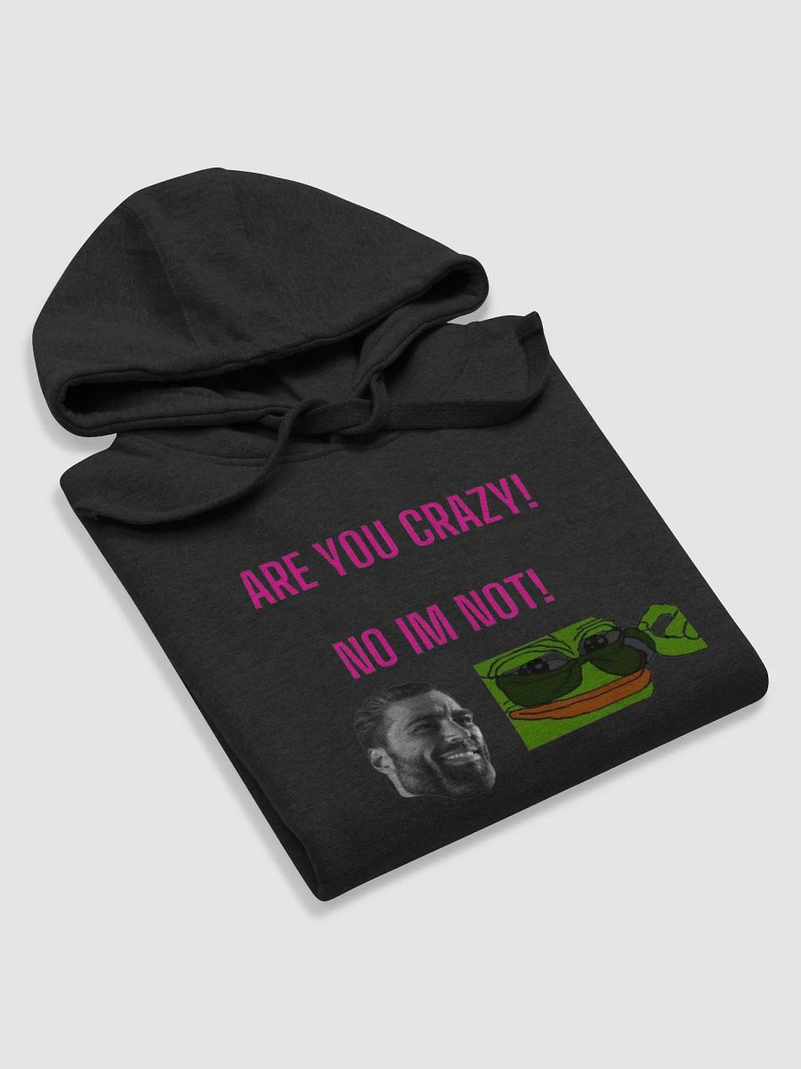 are you crazy no im not product image (32)