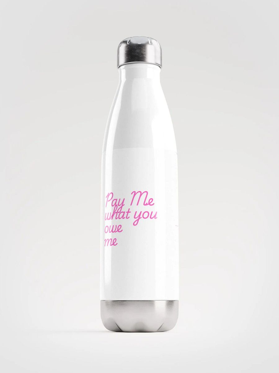 Stainless bottle product image (1)