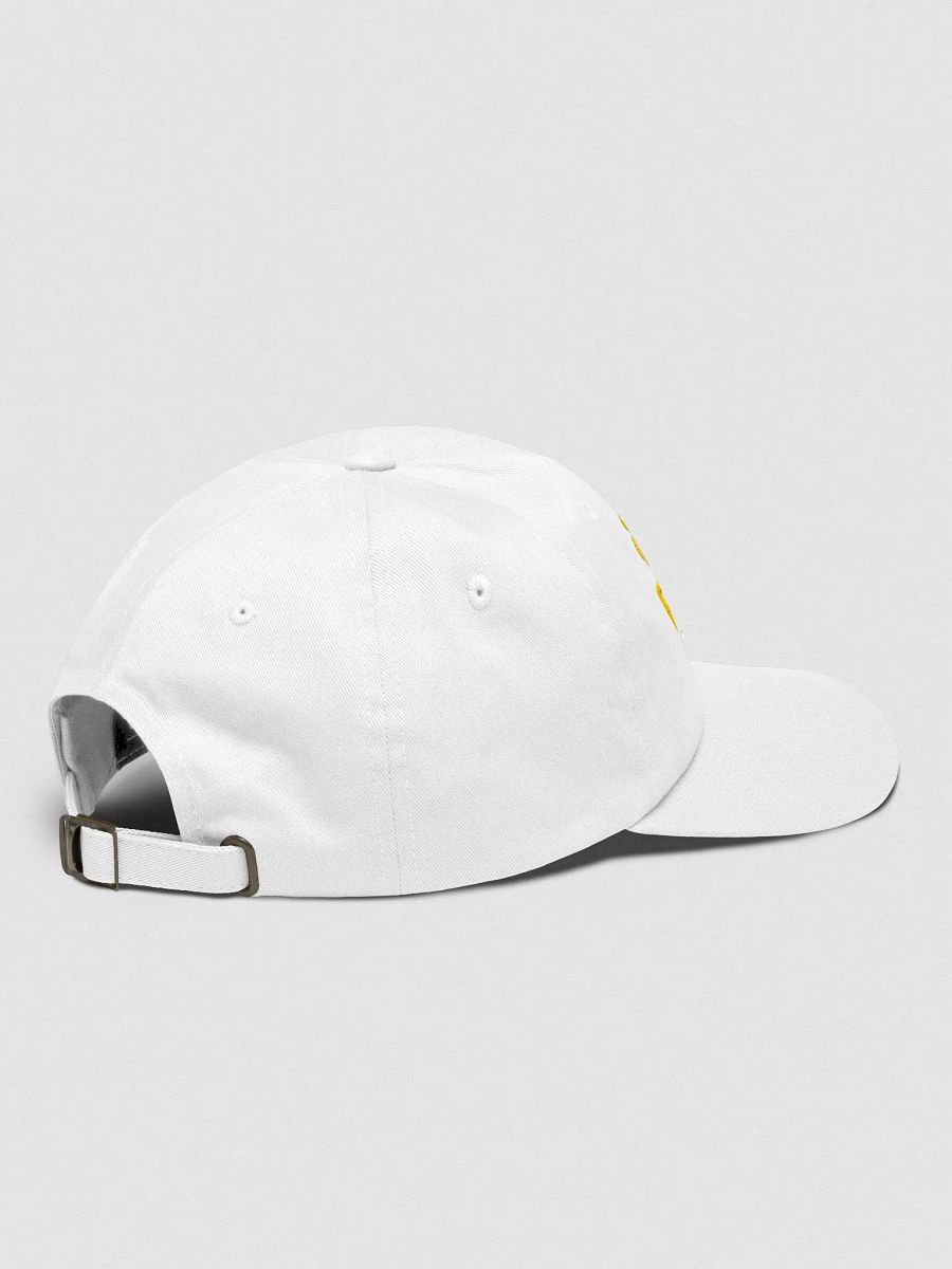 $100k BITCOIN Hat product image (79)