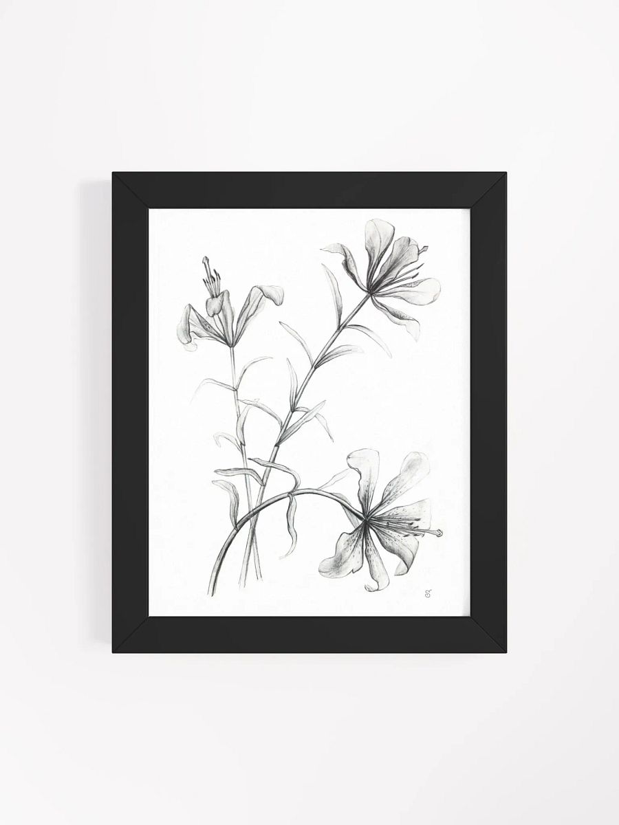 Ethereal Blossoms Framed Poster - Wild Elegant Flowers product image (10)