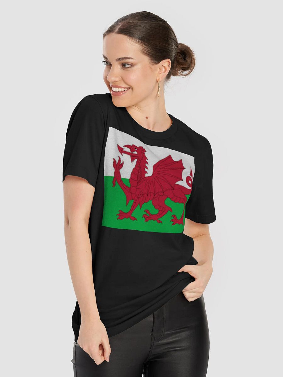 Exclusive Supersoft Unisex Welsh Flag T-Shirt by Graphic Grove product image (9)