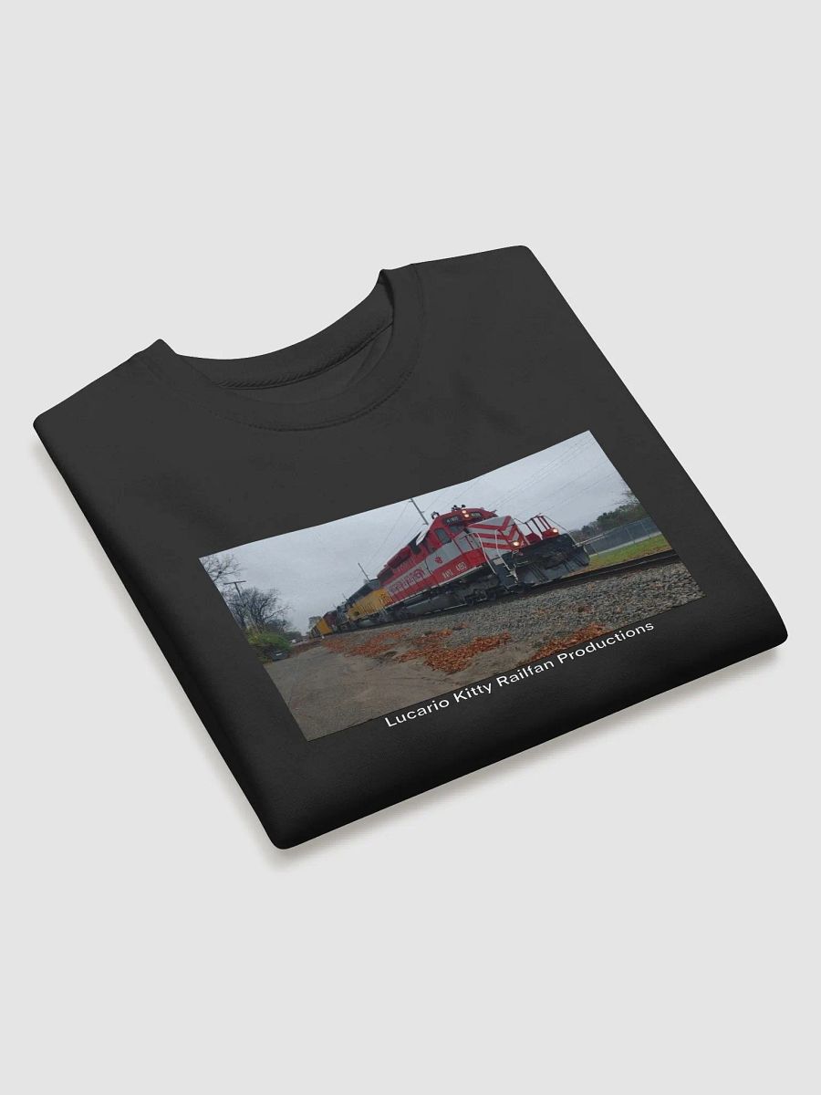 Wisconsin & Southern 4190 Sweatshirt product image (3)