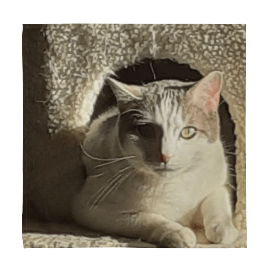 Cute Cats product image (3)