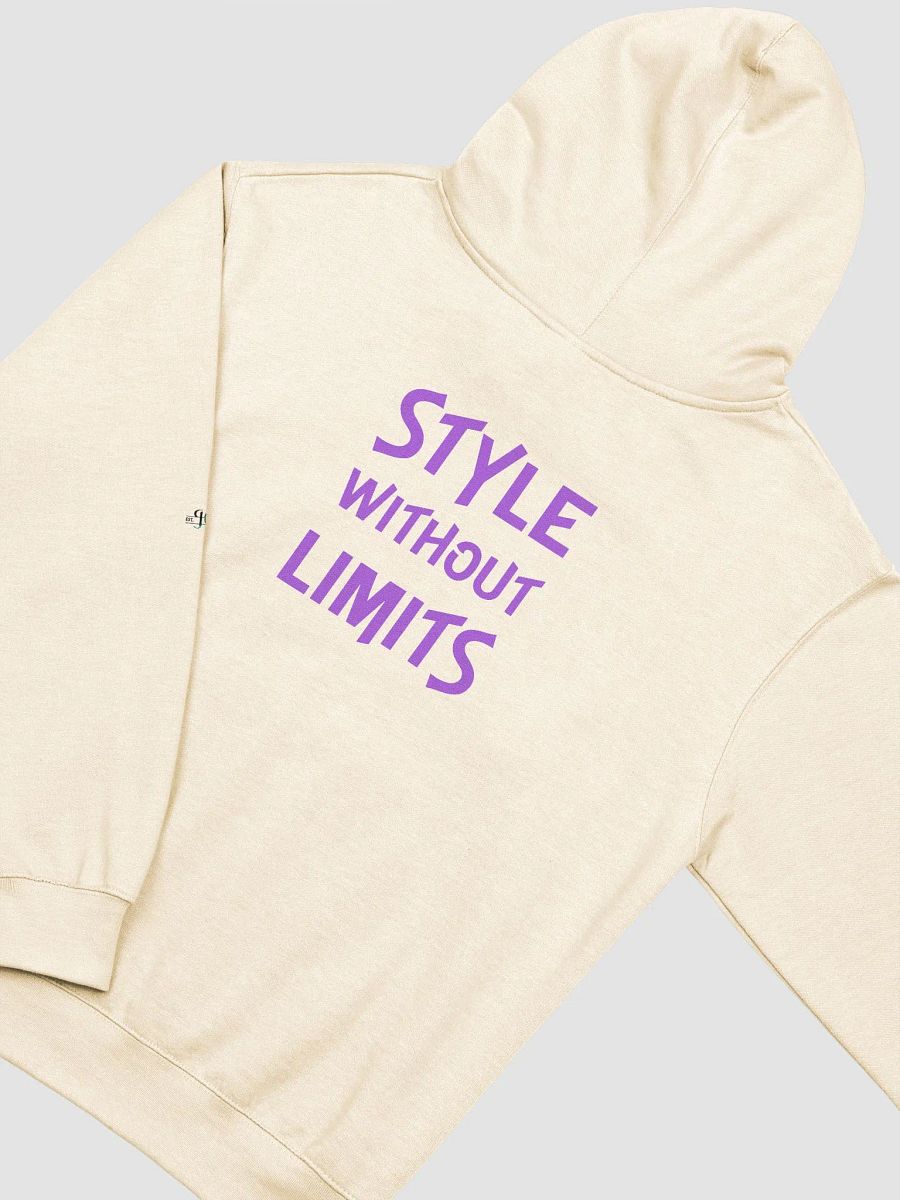 EXCLAMATION EDITION: Style Without Limits Unisex Hoodie product image (28)