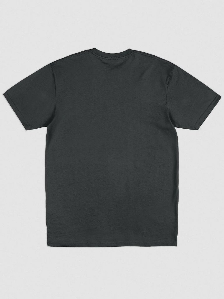 NotoriousX Premium Tee W/ Embroidered Logo product image (2)
