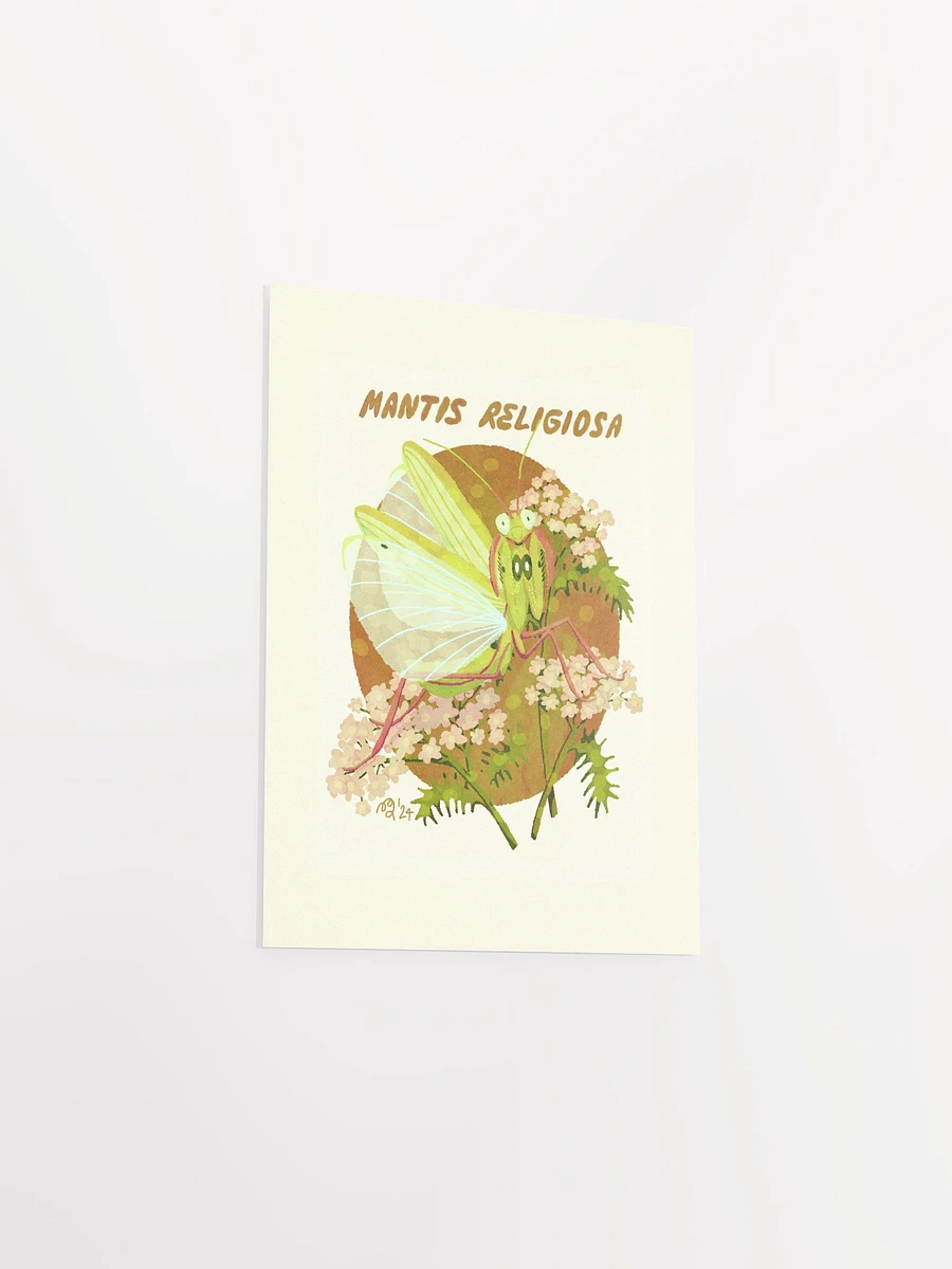 Praying Mantis Print product image (5)