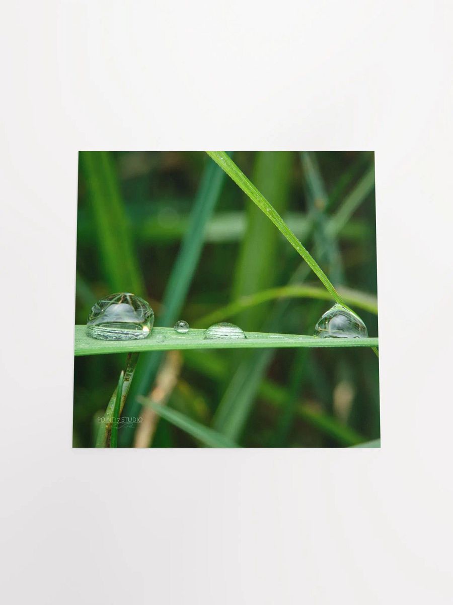 Dew Gems #12 - Framed Print product image (11)