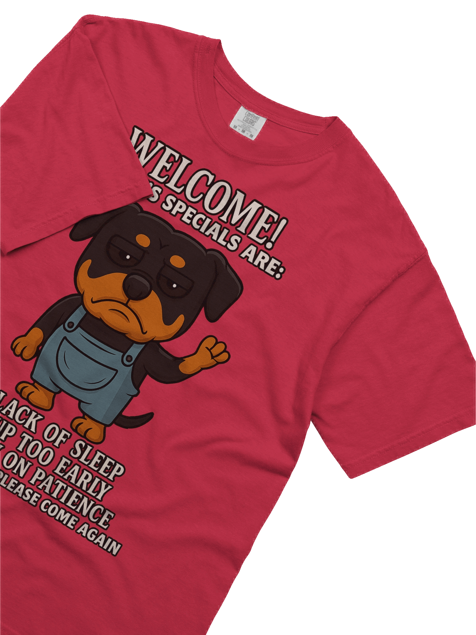 Grumpy Rottweiler Welcome T-Shirt product image (49)