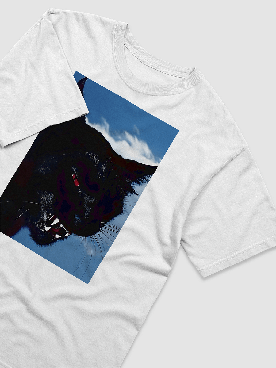 gnarly black cat tee product image (3)