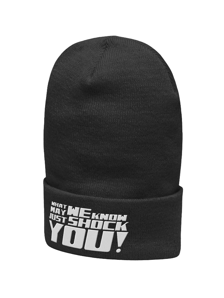 "AVIONICS: What We Know" Beanie product image (2)