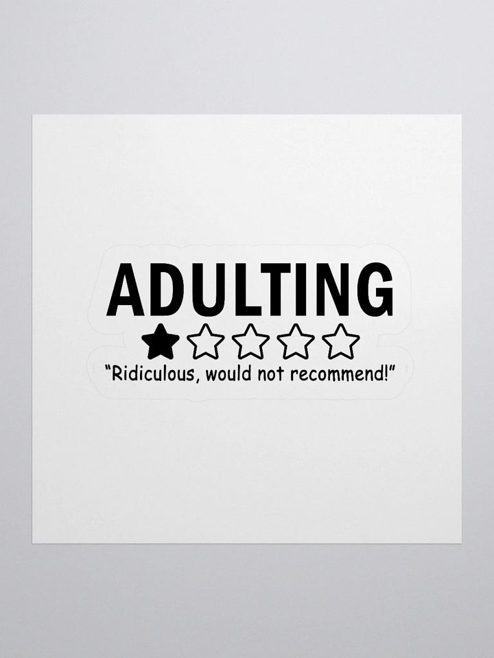 adulting product image (2)