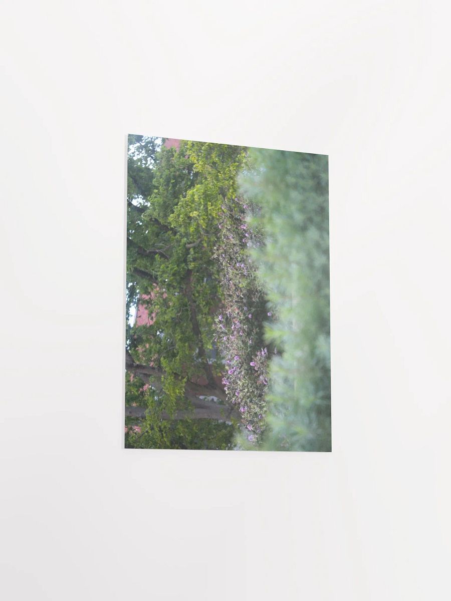 A Study in Flowers 17 product image (33)