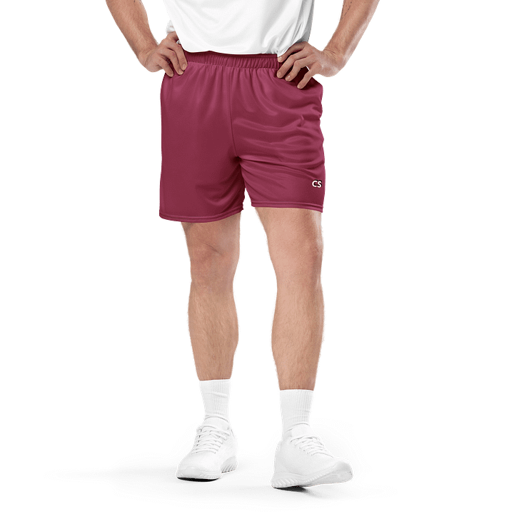 CS Shorts product image (2)
