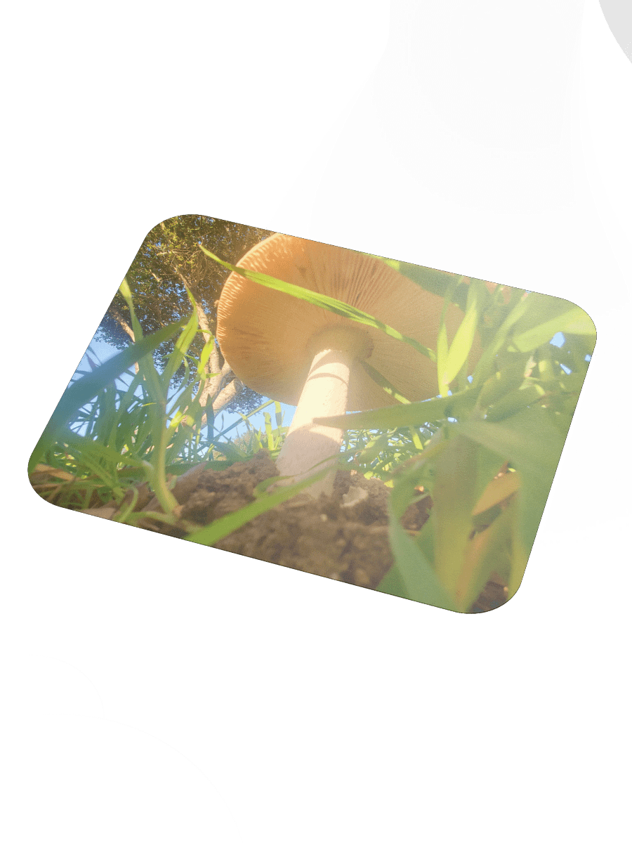 Sunlit Mushroom Mouse Pad product image (3)