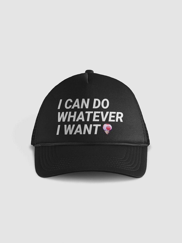 I CAN DO W.E I WANT HAT product image (1)