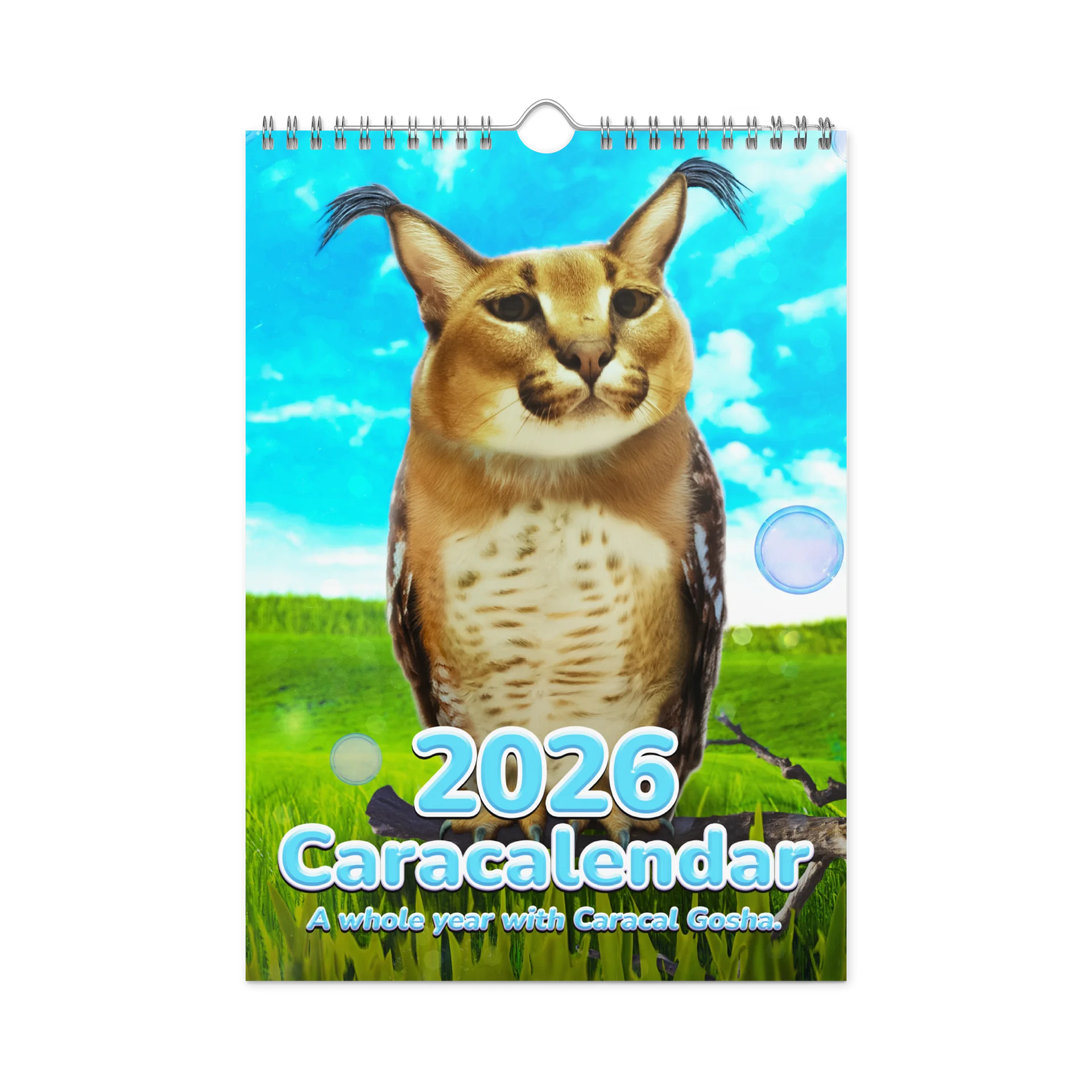 MEDIUM CARACALENDAR 2026 (Limited Edition) product image (4)