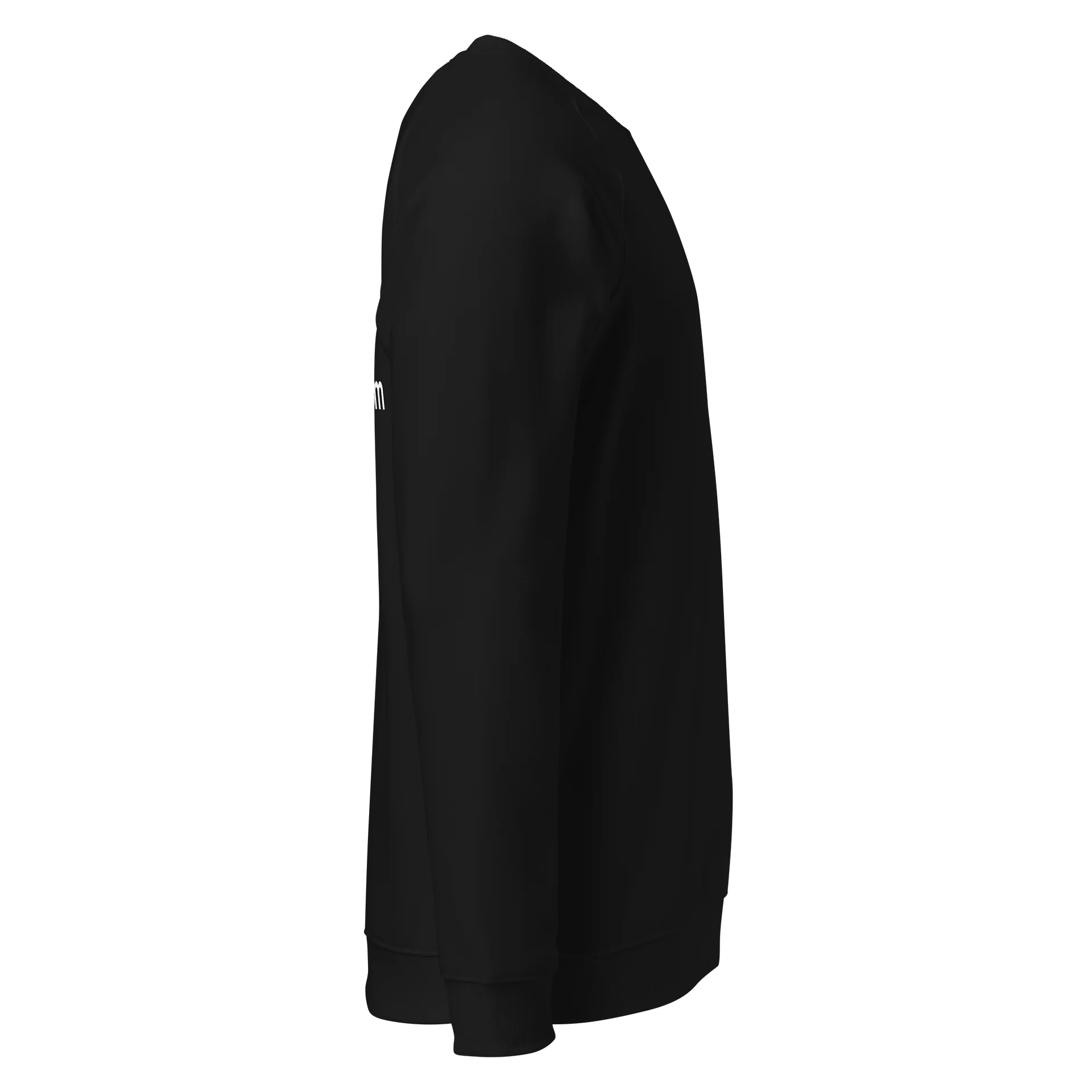 Unisex DCTUK Flooring That Ain't Boring Raglan Sweatshirt product image (6)