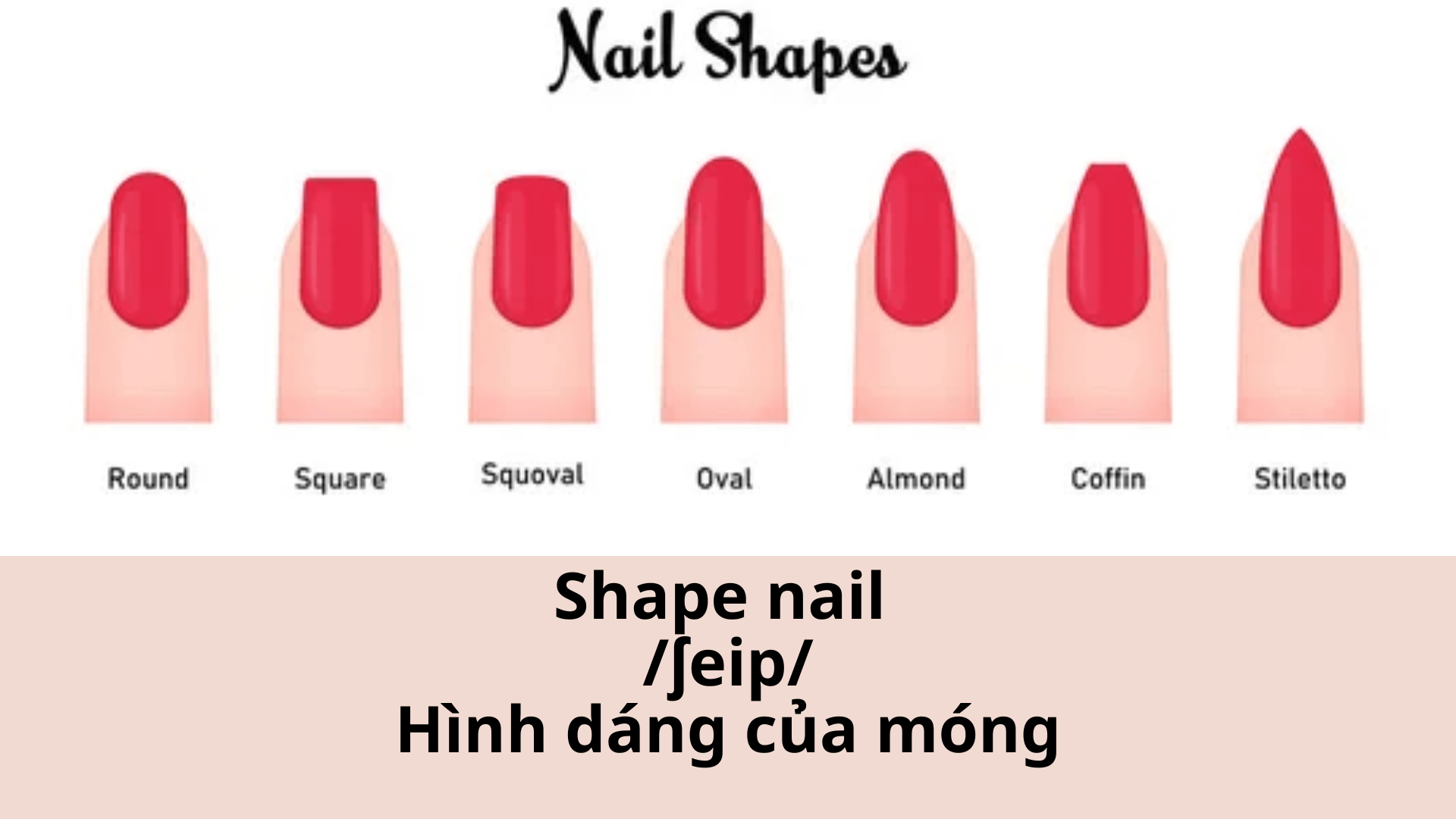 Vocabulary about nail styles and instruments (PDF file) product image (5)