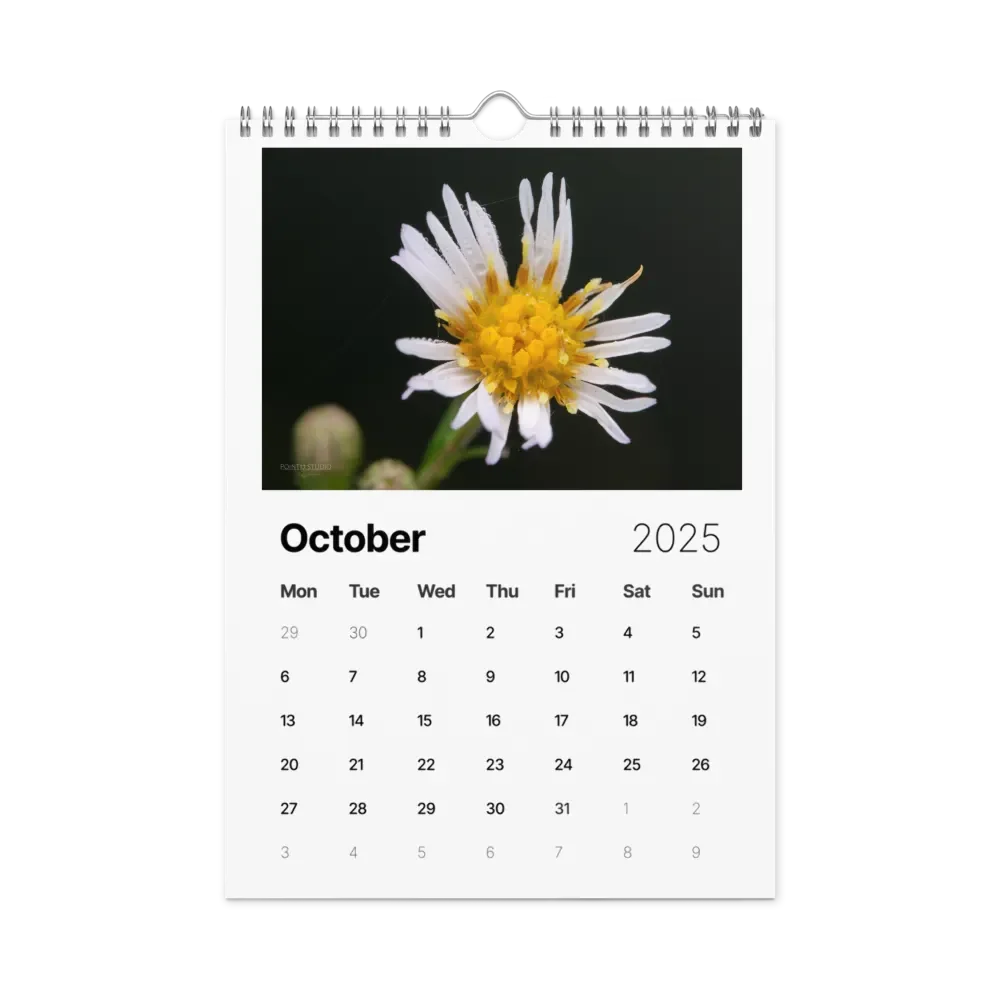 Pure Colors 2025 Wall Calendar product image (11)