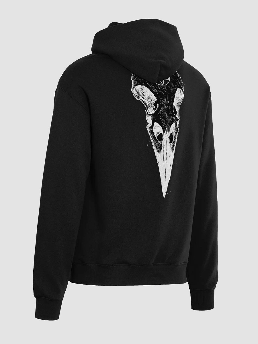 Raven Name and logo hoodie product image (5)