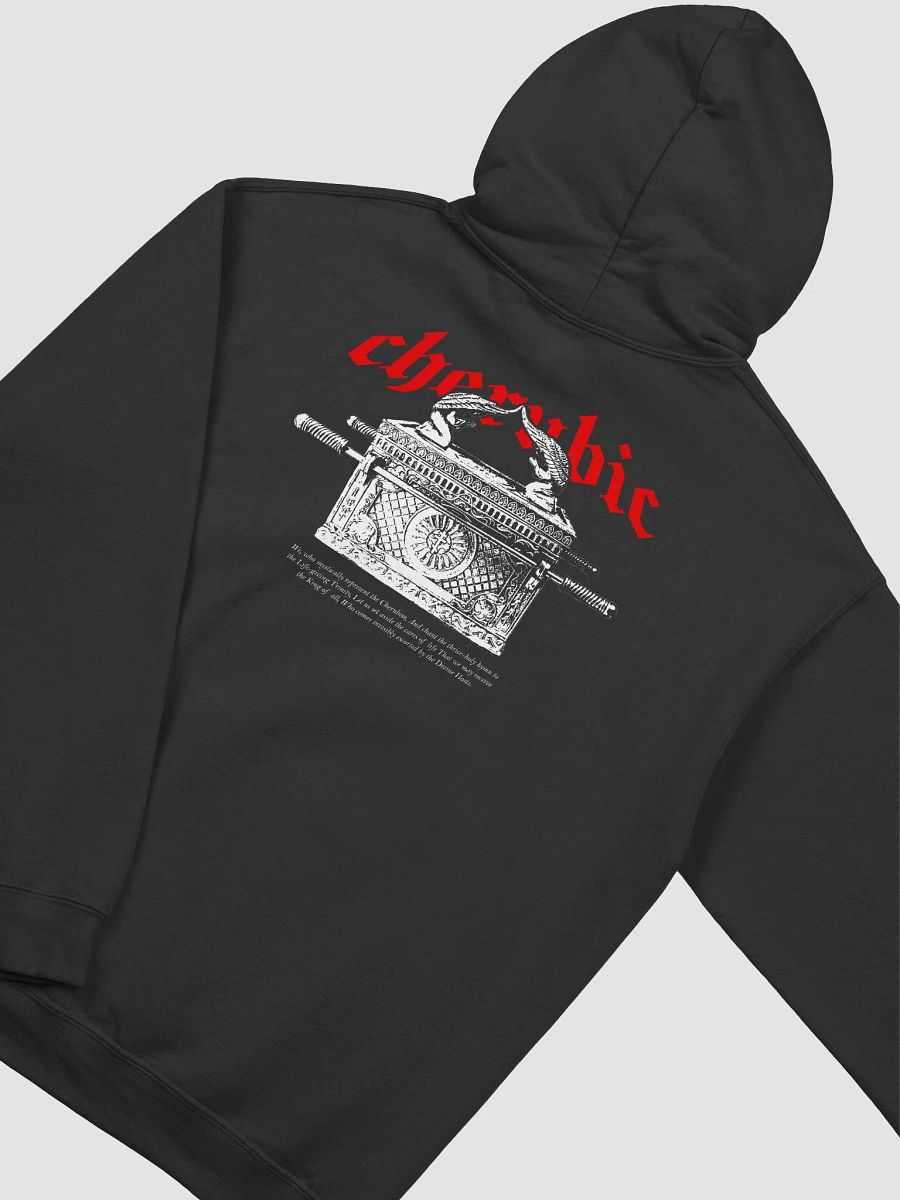 Cherubim Hoodie product image (1)