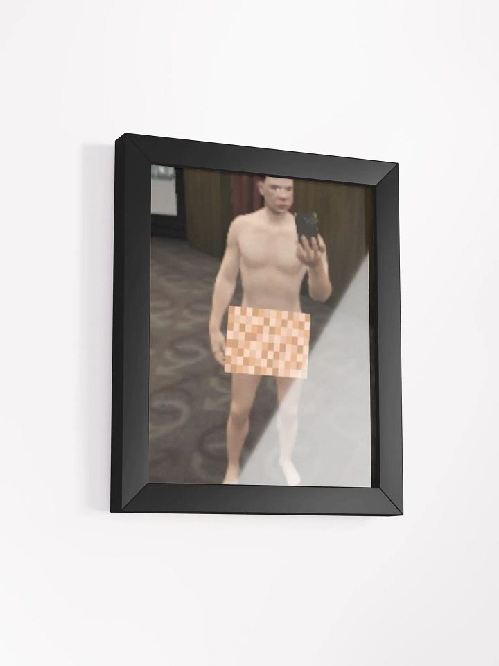 Falupo Framed Picture product image (13)