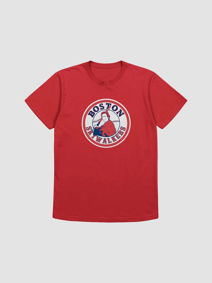 Boston Skywalkers product image (19)