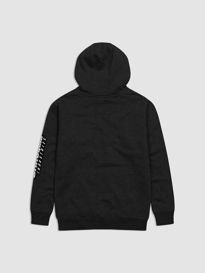 DSI HOODIE! product image (9)
