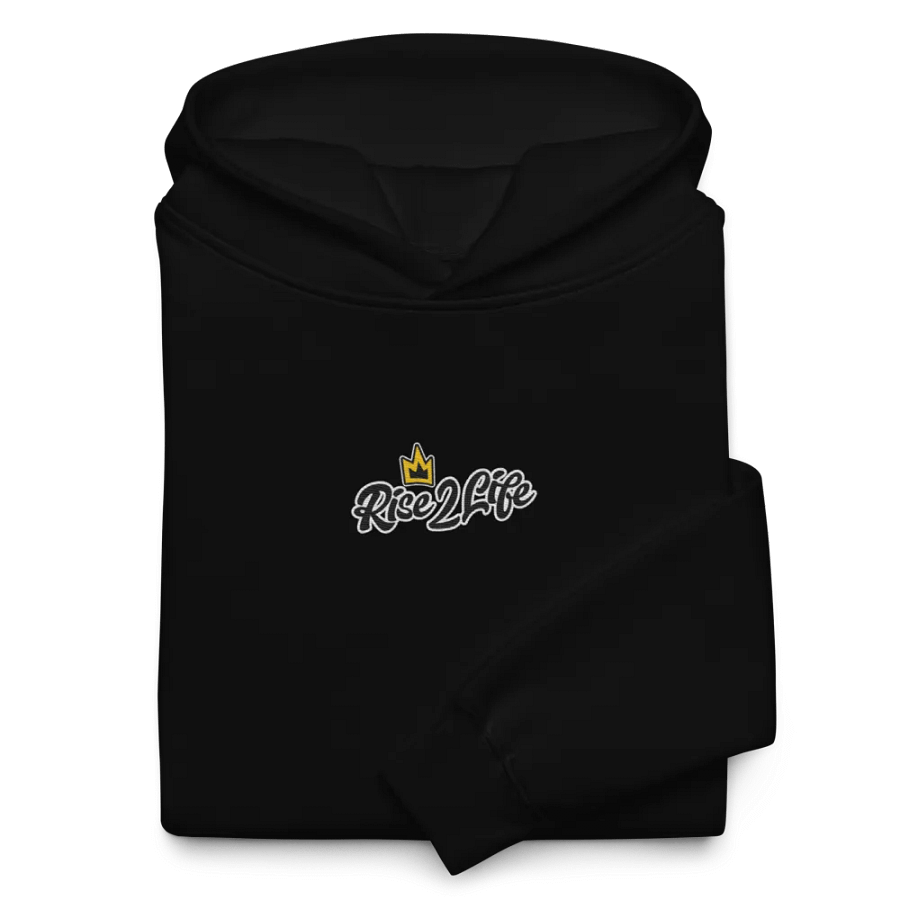 Rise2Life *Premium* Oversized Hoodie product image (10)