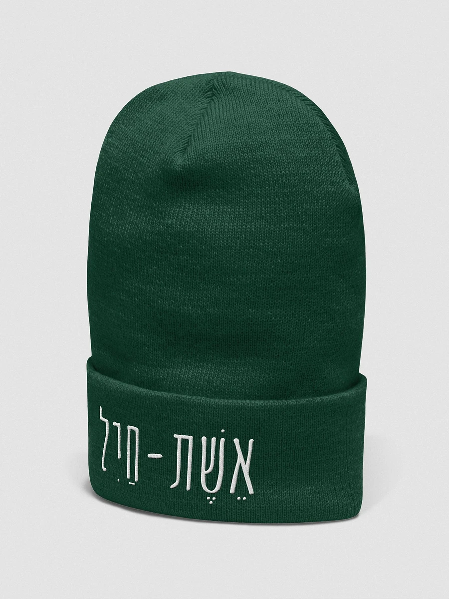 Eshet Chail Embroidered Beanie product image (28)