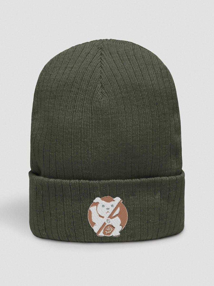 Brimbo beanie product image (4)