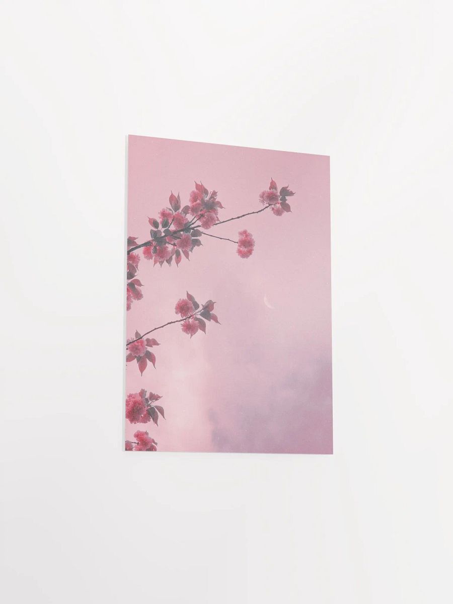 Cherry Blossom Dreams product image (6)