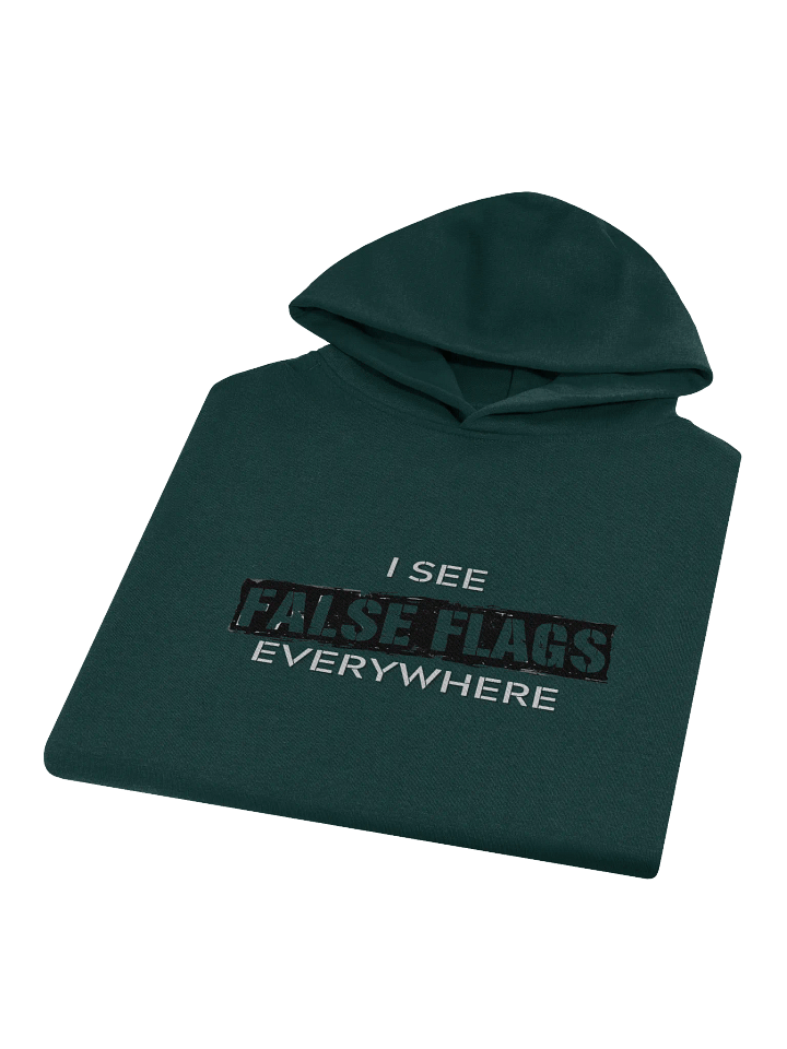 I See False Flags Everywhere - Oversized Hoodie product image (2)