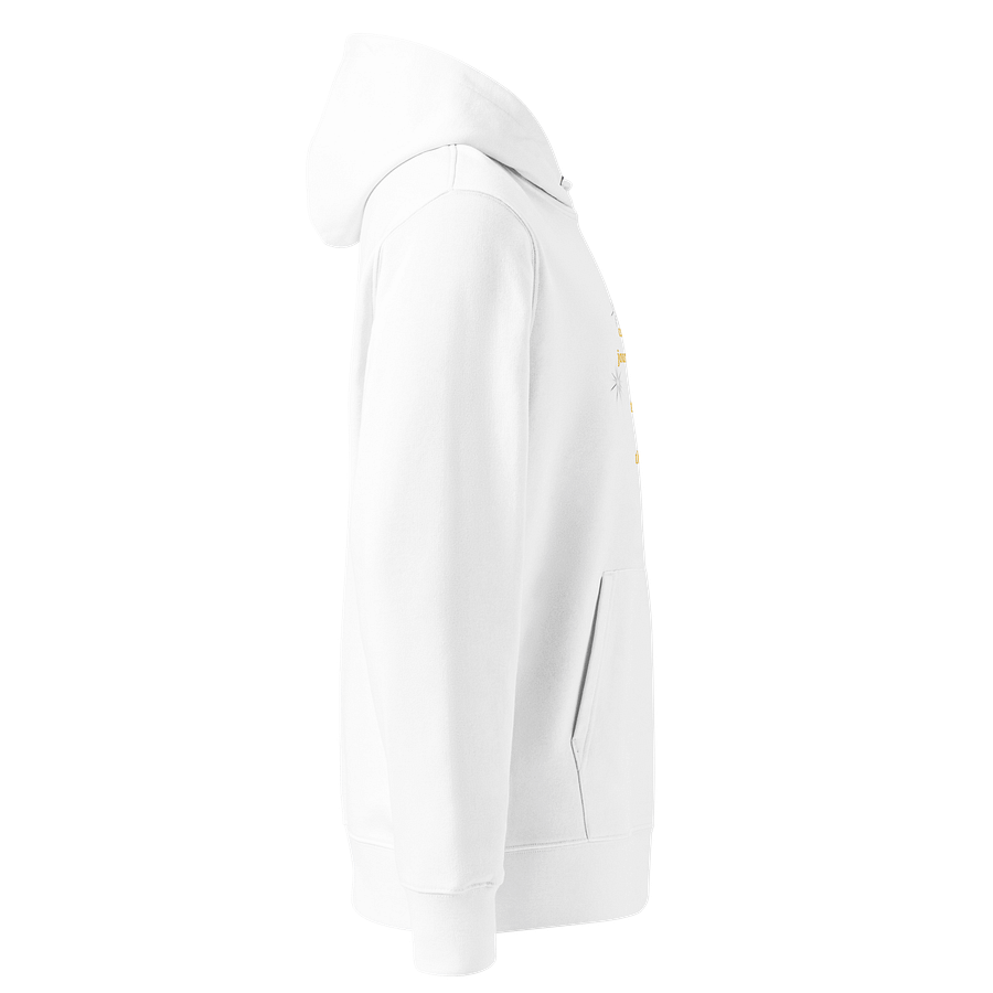 Cosmic Journey Unisex Organic Hoodie product image (4)