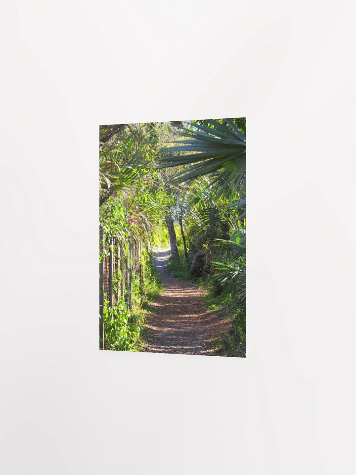Ponce Inlet, FL Trail product image (22)