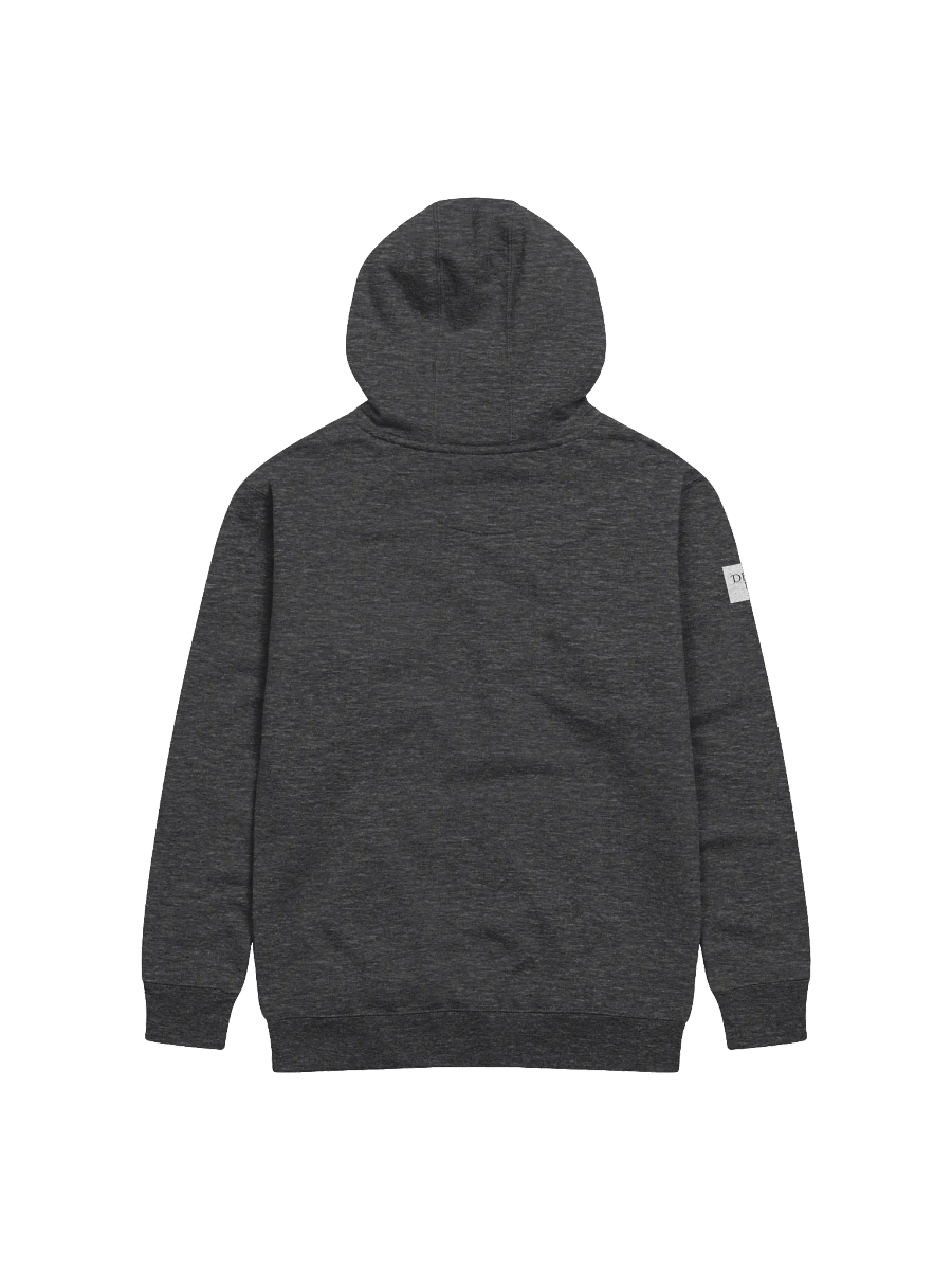Minimalistic DPNS logo hoodie product image (2)