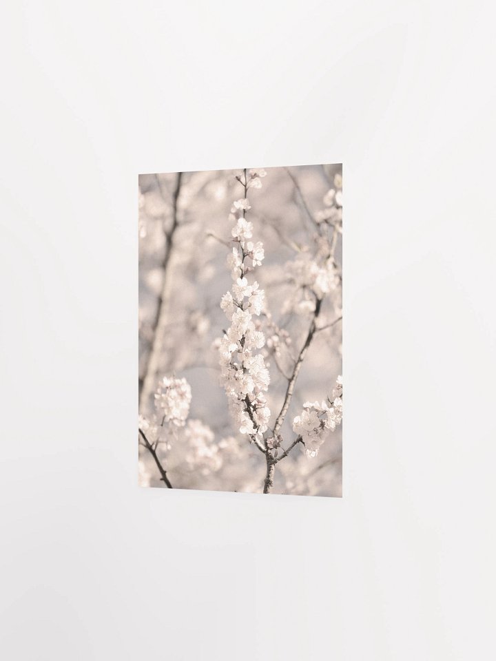 Sakura - Enhanced Matte Paper Poster product image (5)