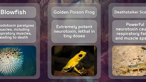 most poisonous creatures on the planet #explore #fyp #fypシ #worldrecord #top #trending