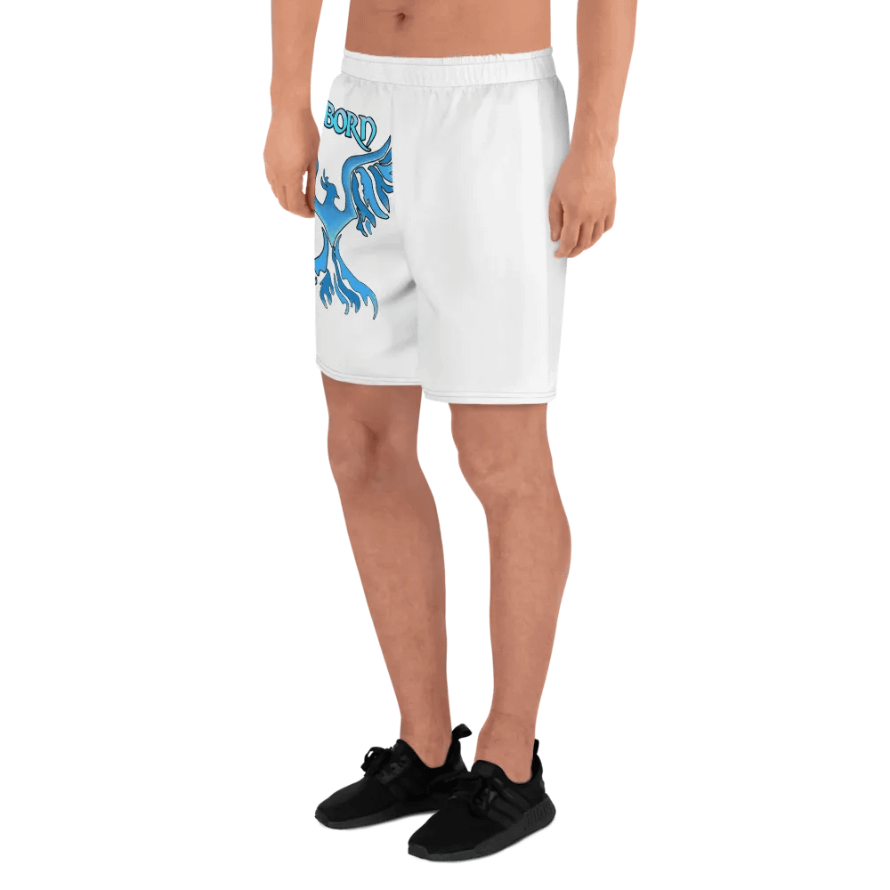 Ice Reborn phoenix product image (7)