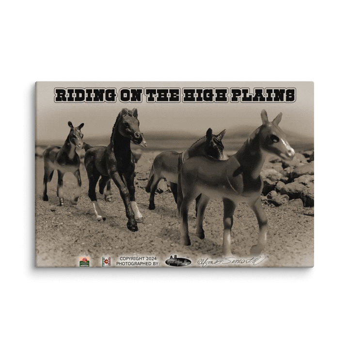 RIDING ON THE HIGH PLAINS product image (1)