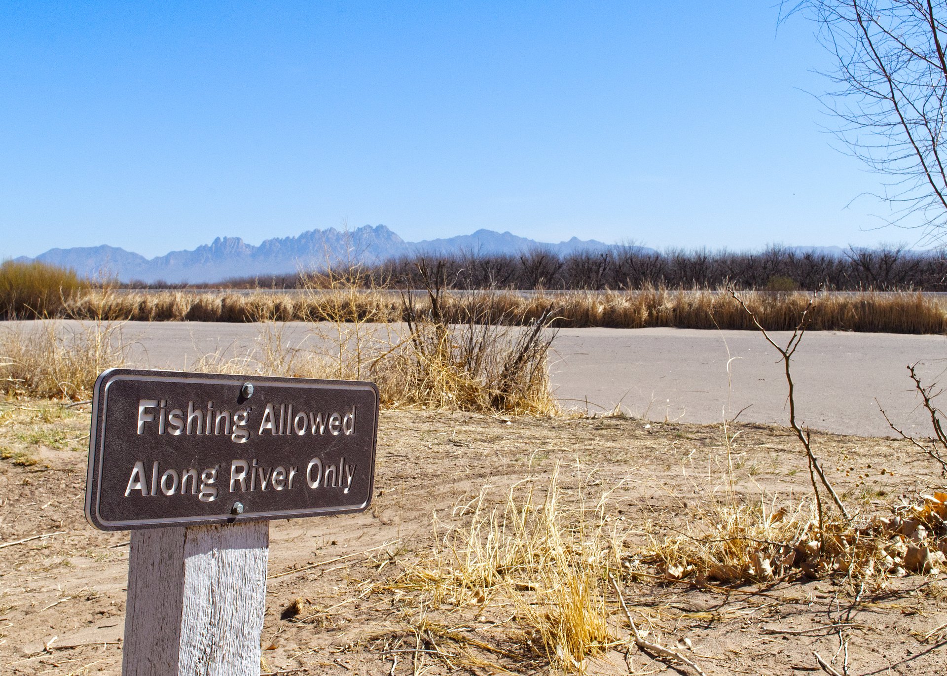 Fishing Allowed product image (1)