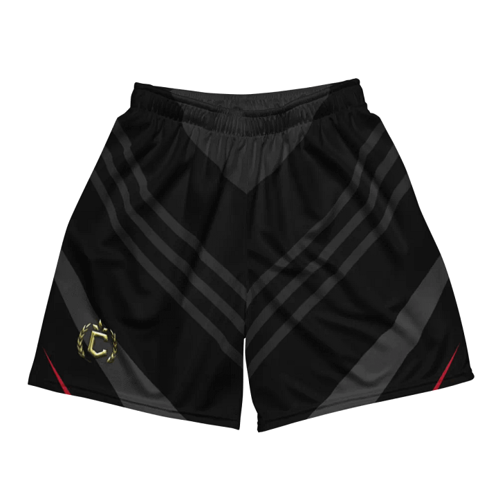 Depth & Movement Mesh Shorts product image (2)